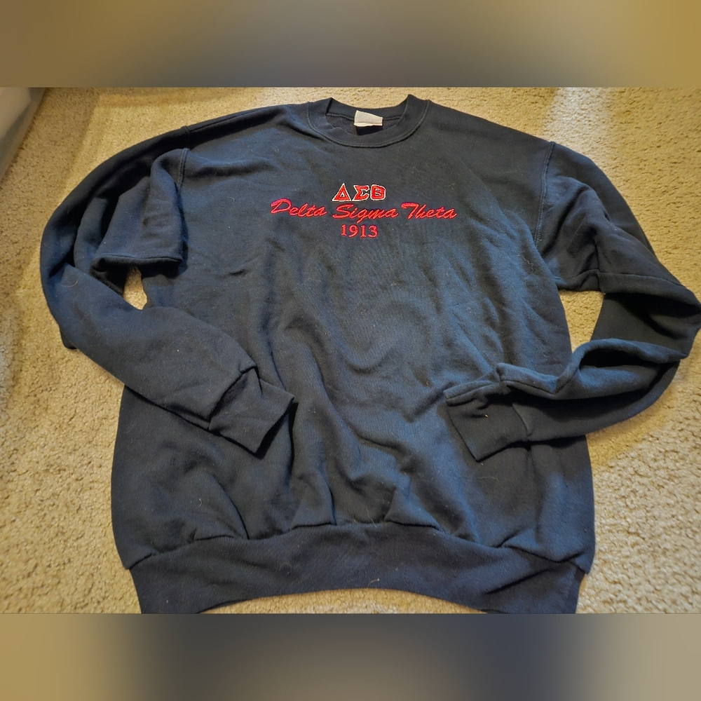 Delta Sigma Theta Sorority Sweater Embroidered Hanes Heavyweight Pullover Medium